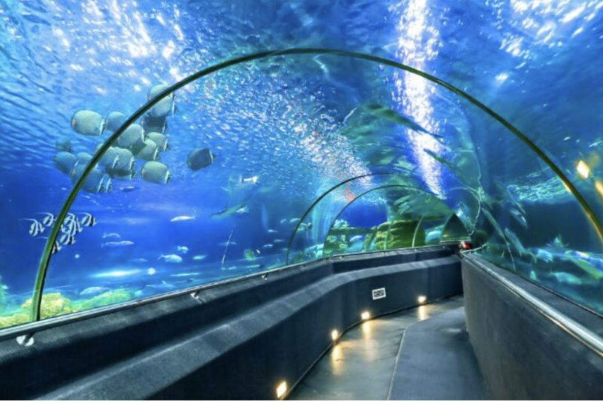One of the world's largest aquariums, Cung Điện Hải Vương, Phu Quoc