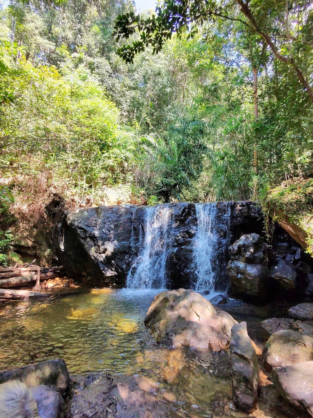 Quiet forest waterfall, Fairy Waterfall, Phu Quoc