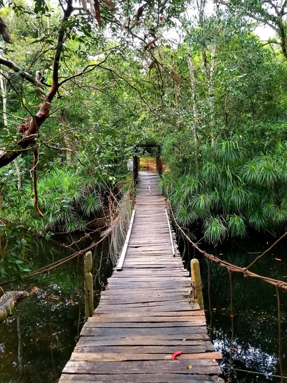 Khu du lịch sinh thái (Suối Đá Bàn) photo 3