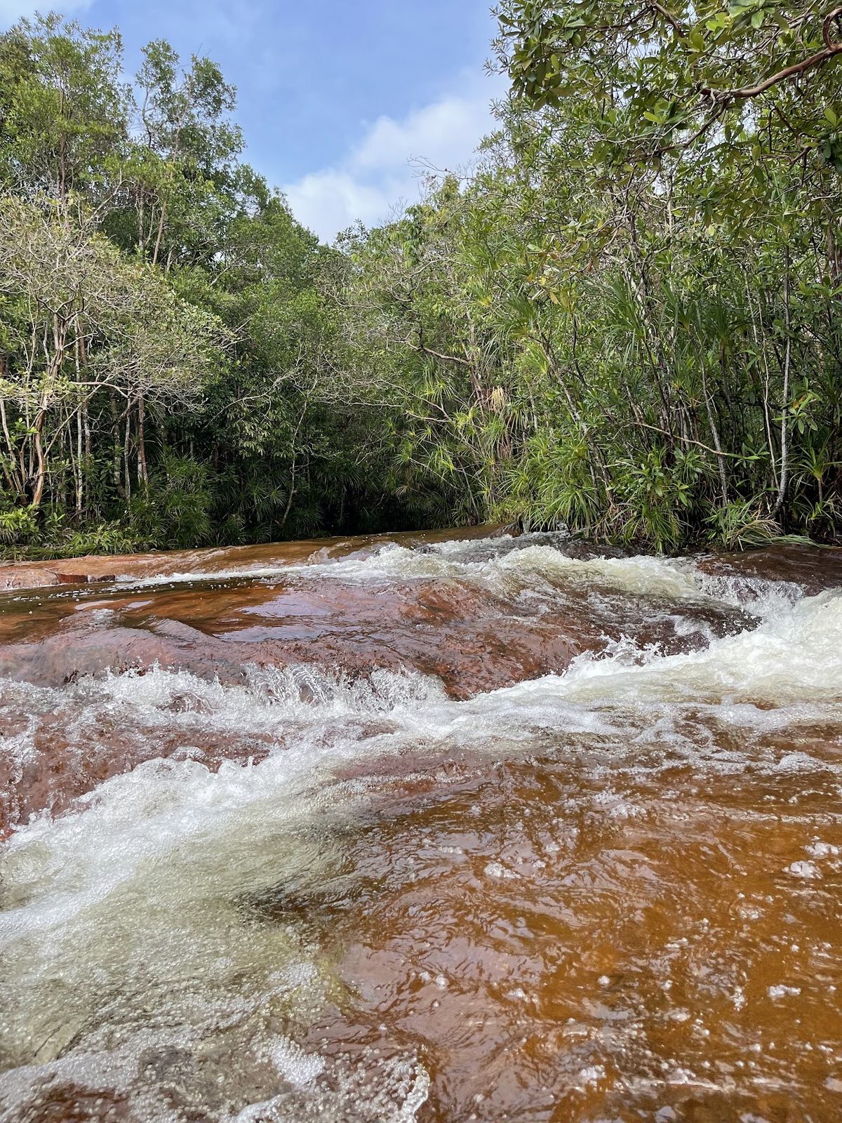 Khu du lịch sinh thái (Suối Đá Bàn) photo 4