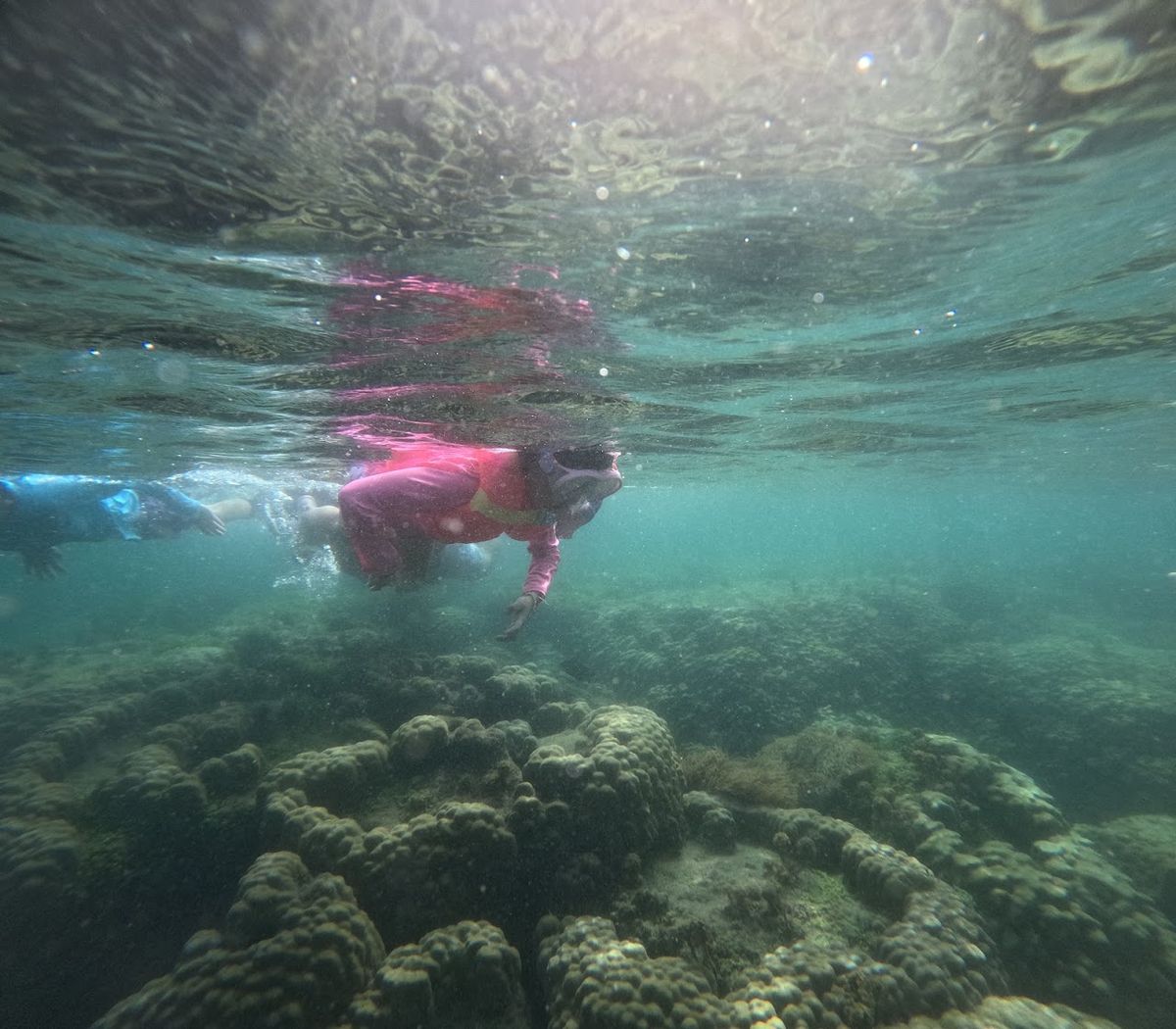Kimie's Tours - Snorkeling, diving, & hiking photo 3
