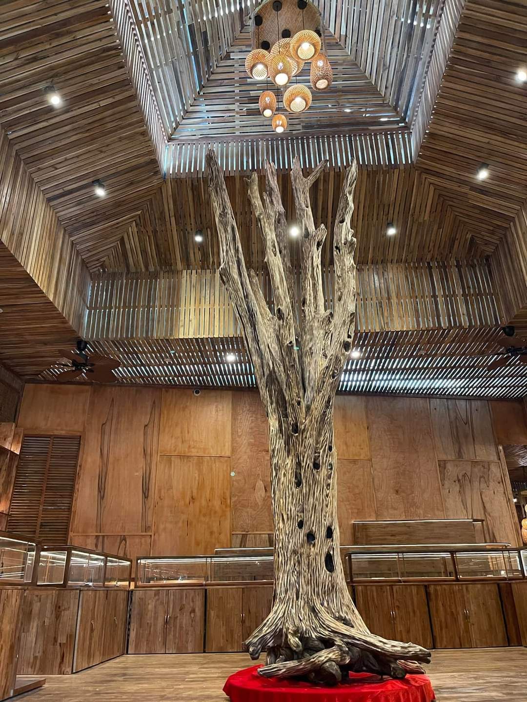 Làng Trầm Hương Đảo Yến – Agarwood Dao Yen Phu Quoc 富国岛沉香村 photo 3