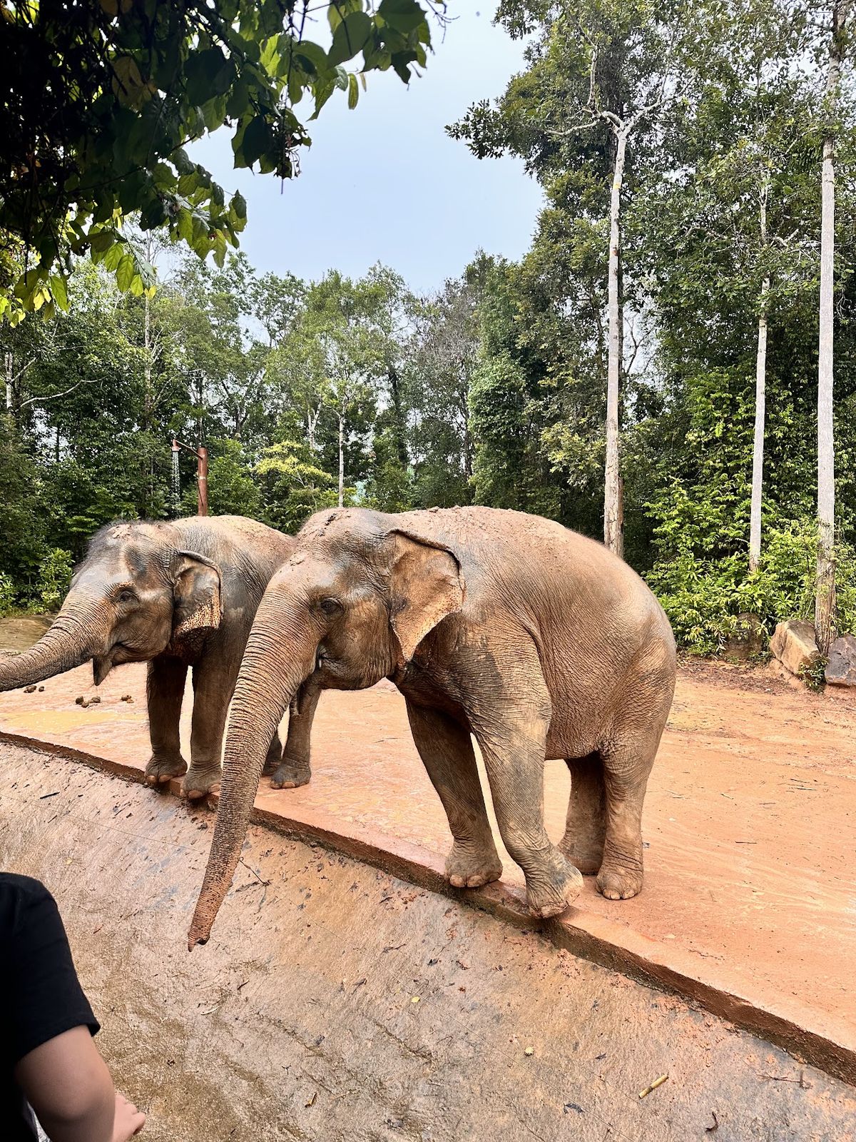 Night Safari Phu Quoc photo 3