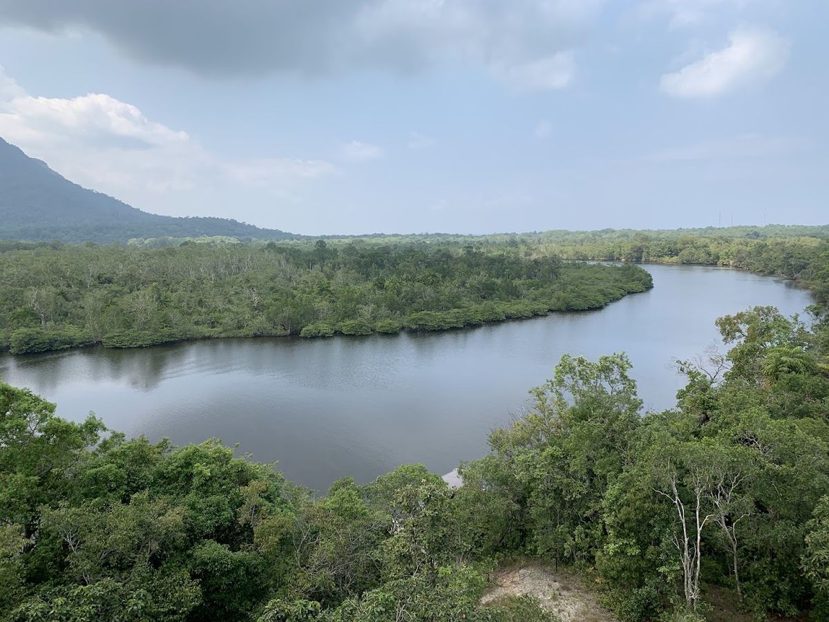 Phu Quoc National Park photo 2