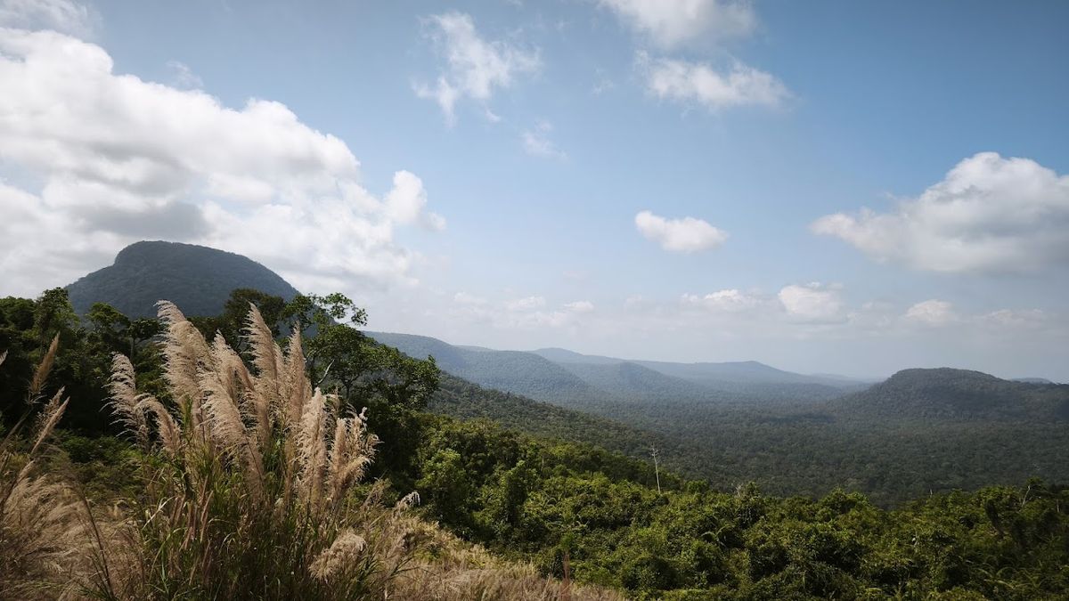 Phu Quoc National Park photo 3