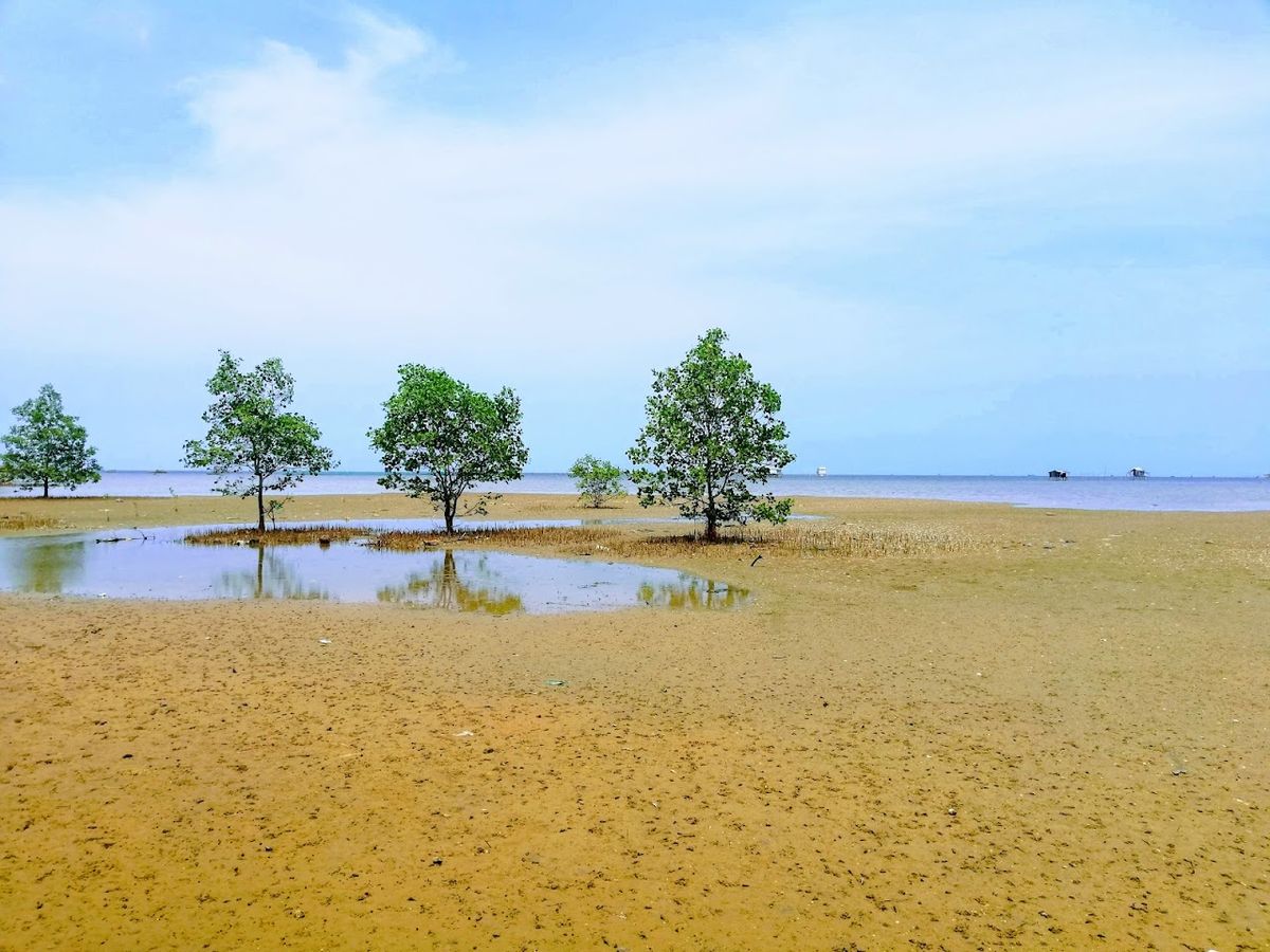 Phu Quoc National Park photo 4