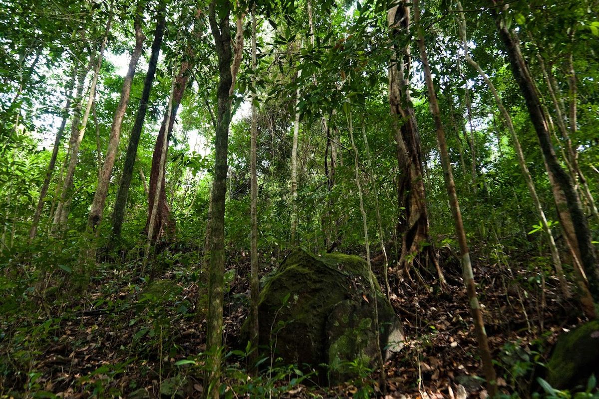 UNESCO biosphere reserve, Phu Quoc National Park