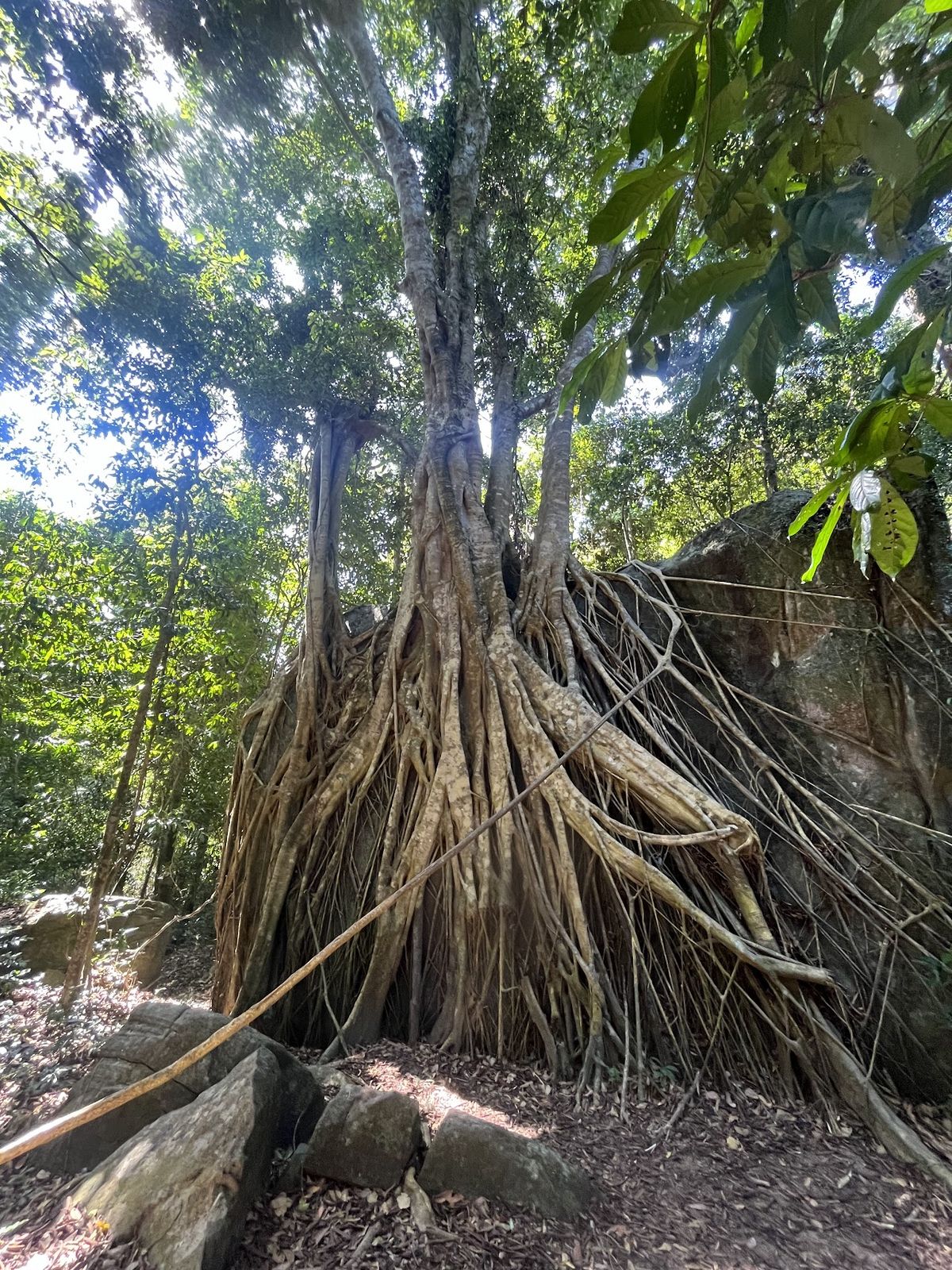 Hilltop temple and viewpoint, Tiên Sơn Đỉnh, Phu Quoc