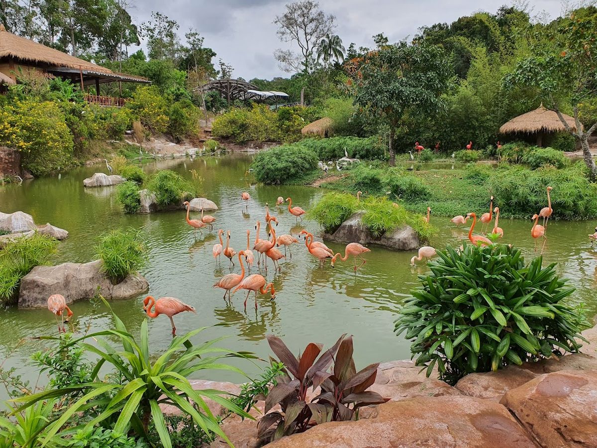Vinpearl Safari Phú Quốc photo 4