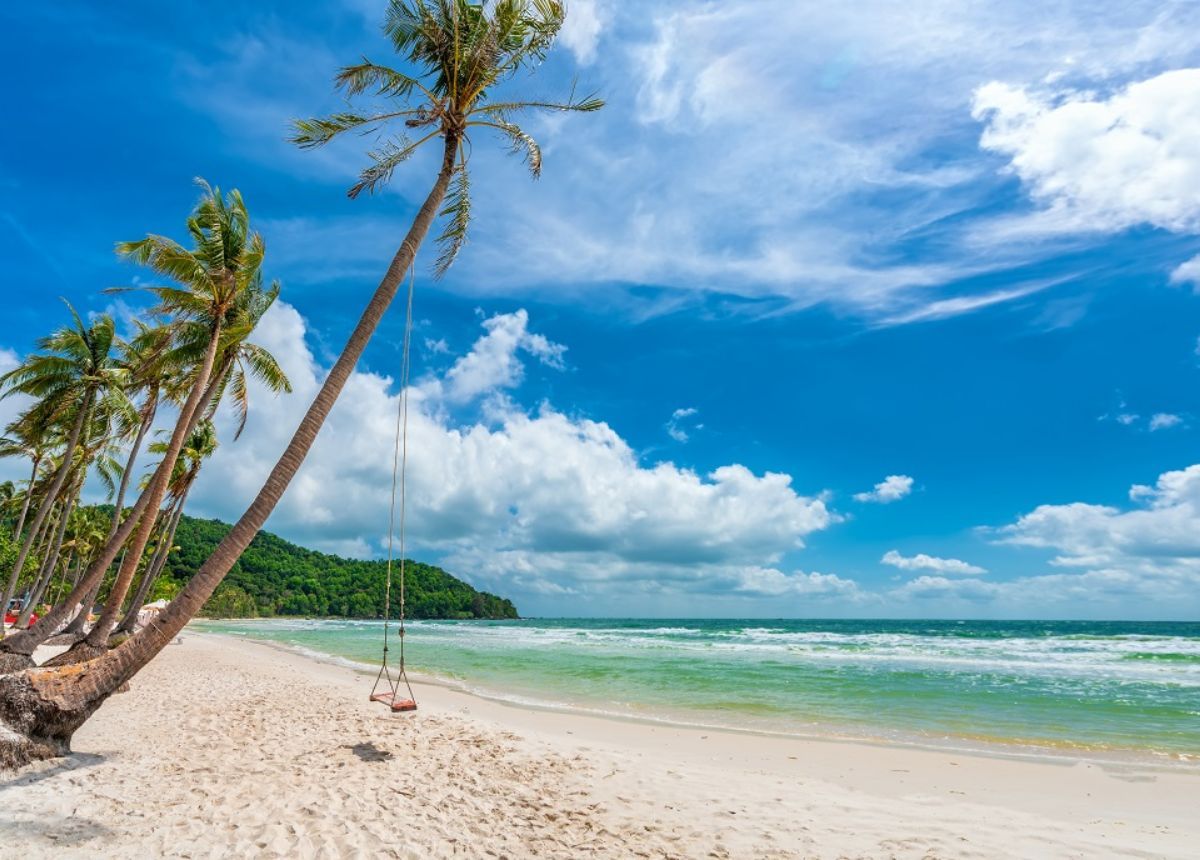 White sand and a rope swing hanging from a leaning palm at Bai Sao beach, Phu Quoc